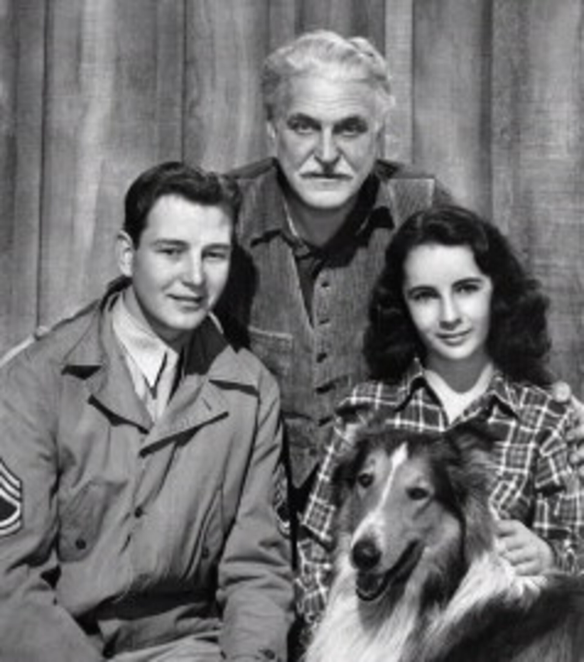 Courage Of Lassie Movies 