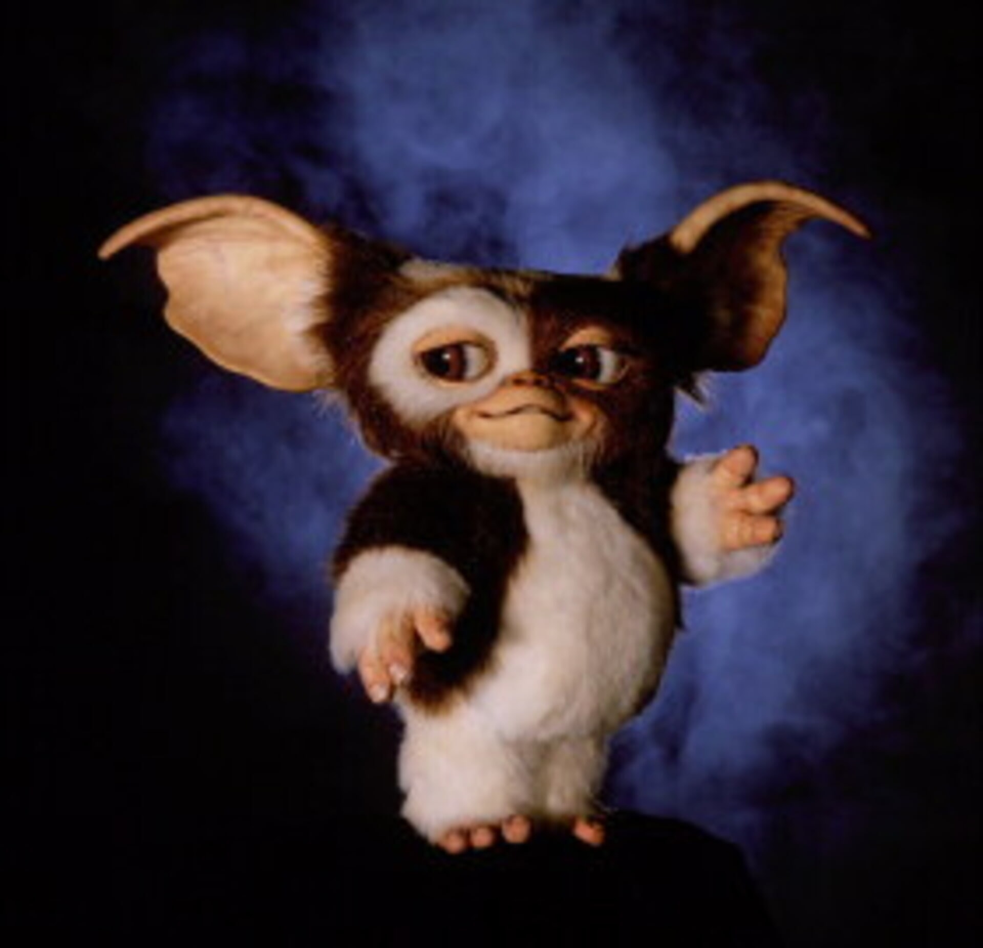 Gremlins 2 The New Batch Movies