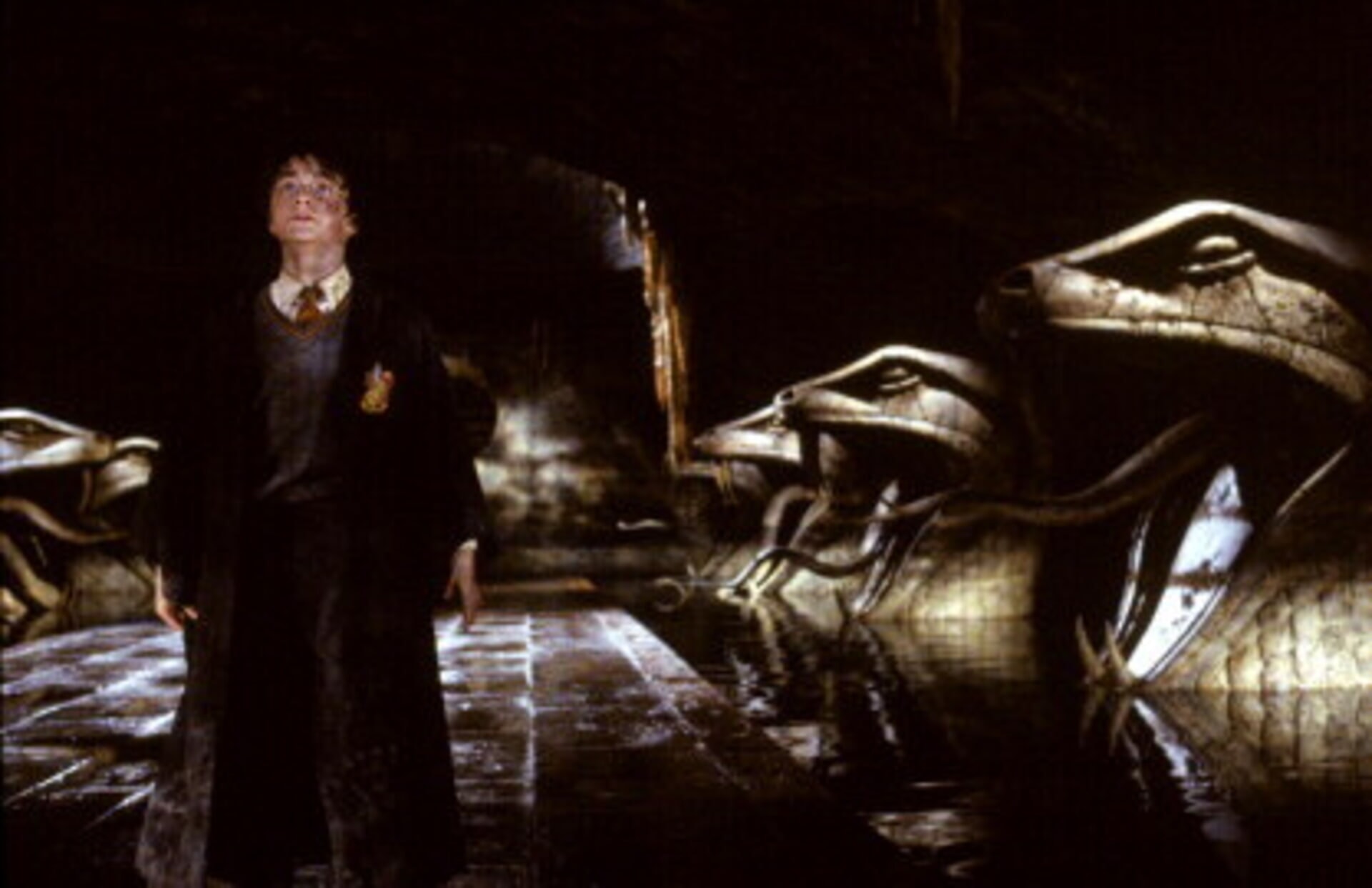 Harry Potter And The Chamber Of Secrets Photo 10 2380360 
