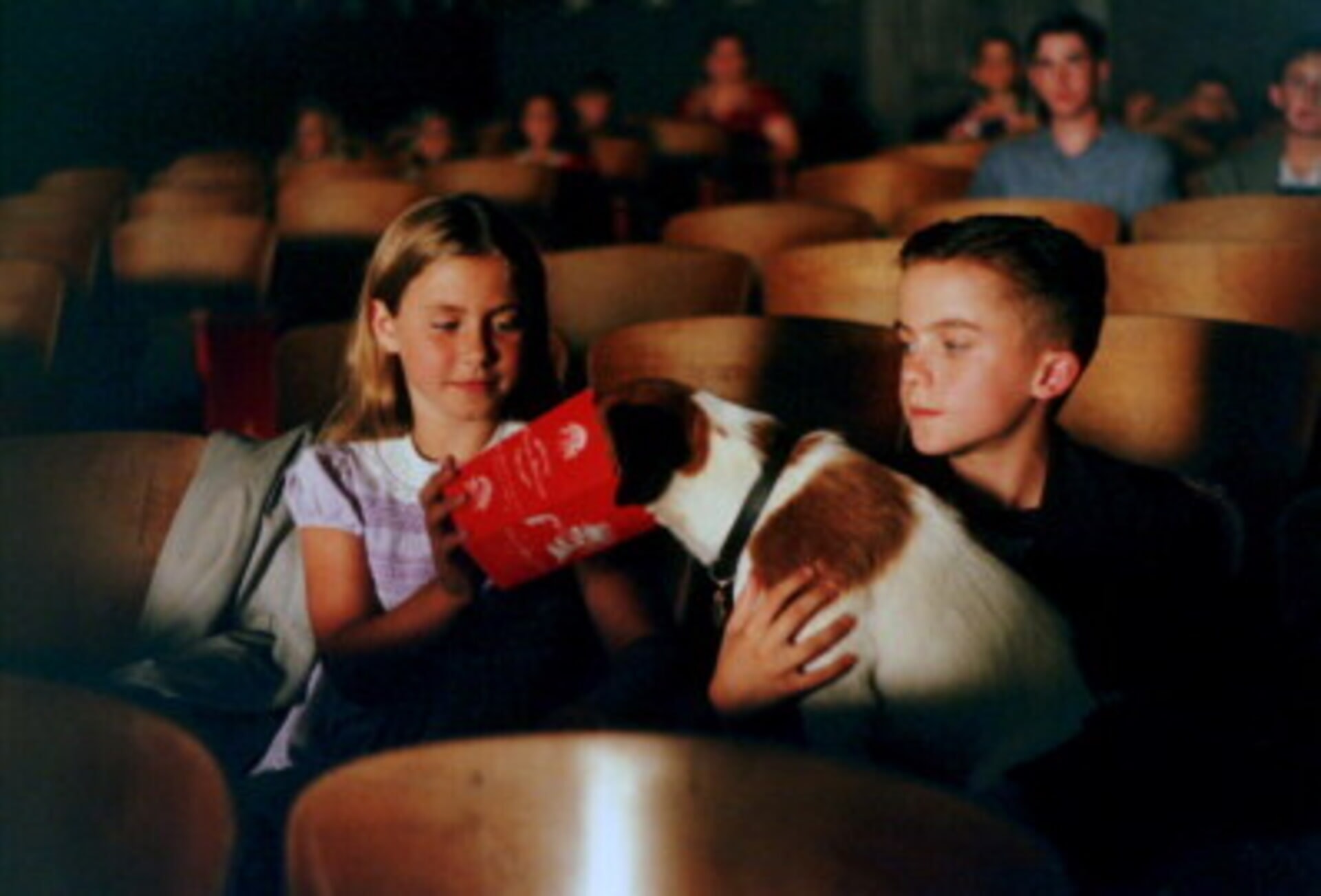 WarnerBros.com | My Dog Skip | Movies