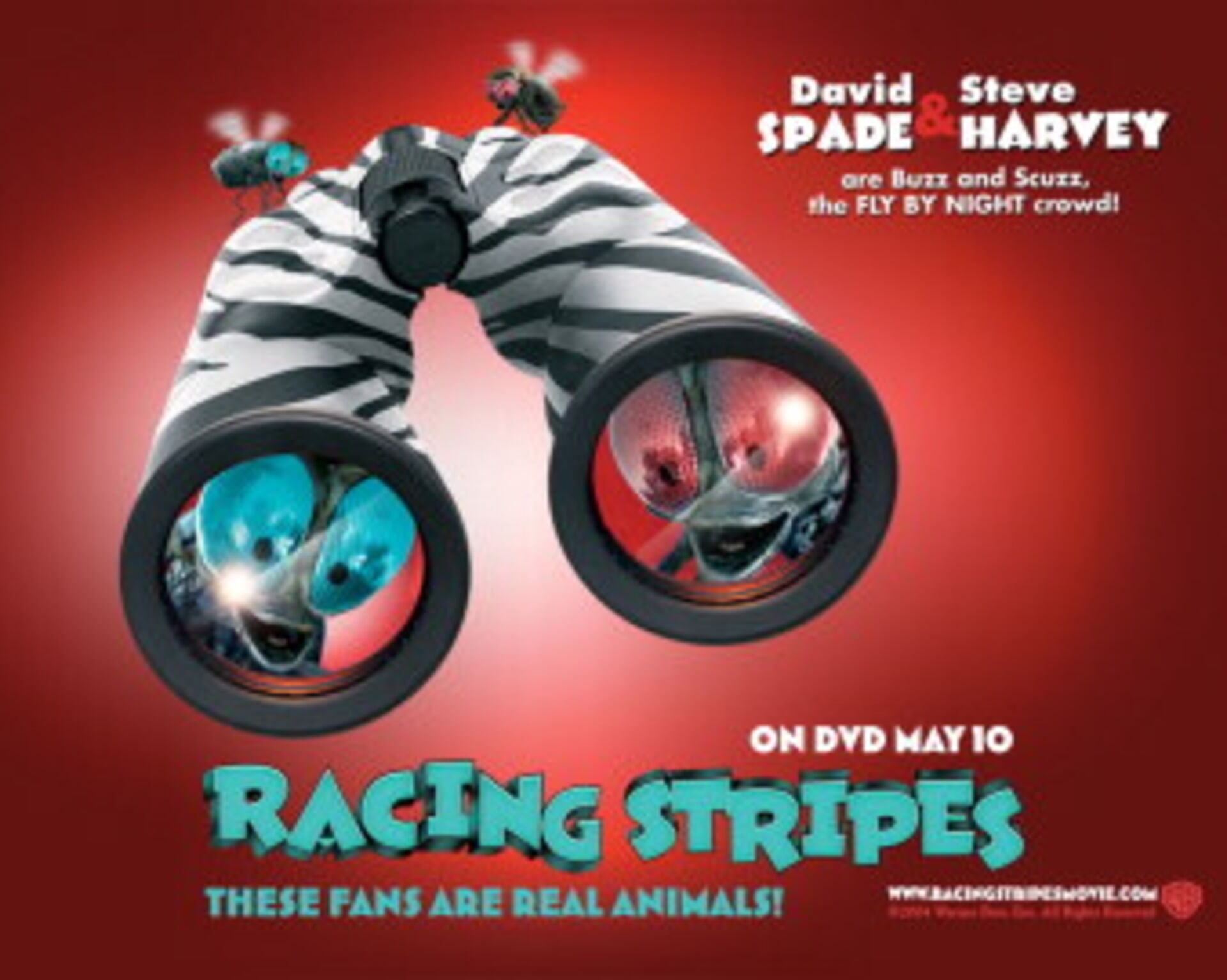 Racing Stripes Movies