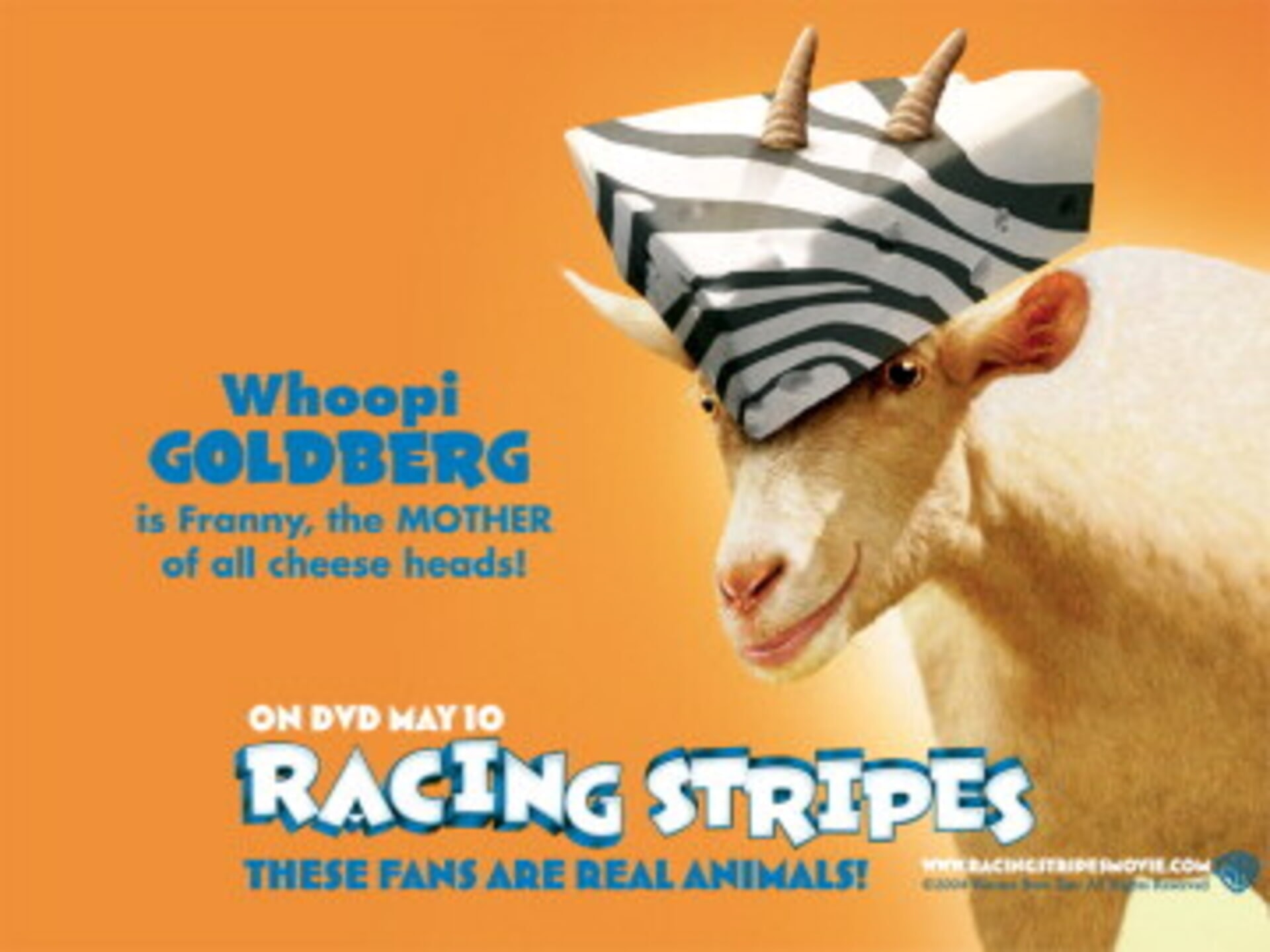 Racing Stripes Movies