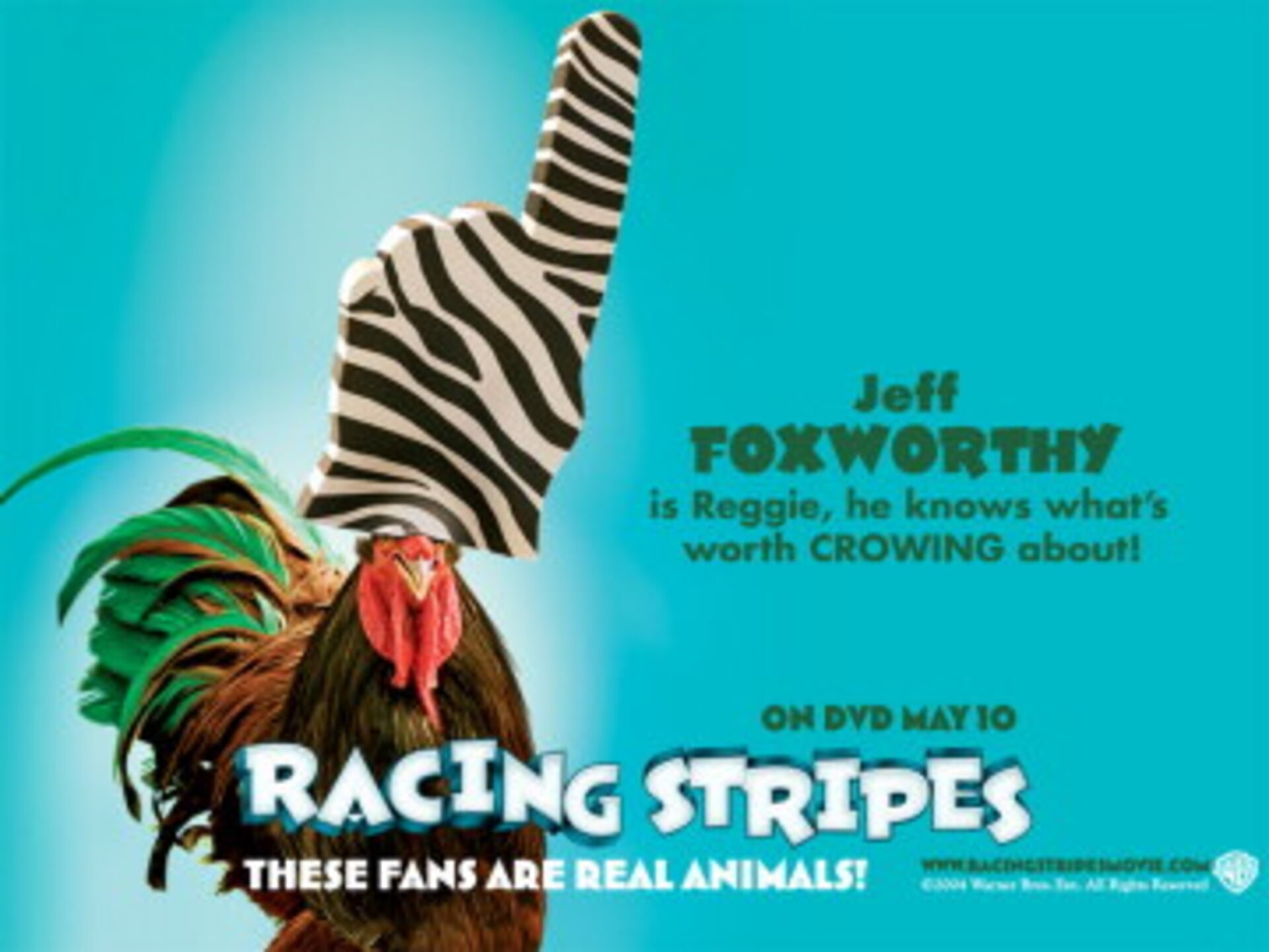 Racing Stripes Movies