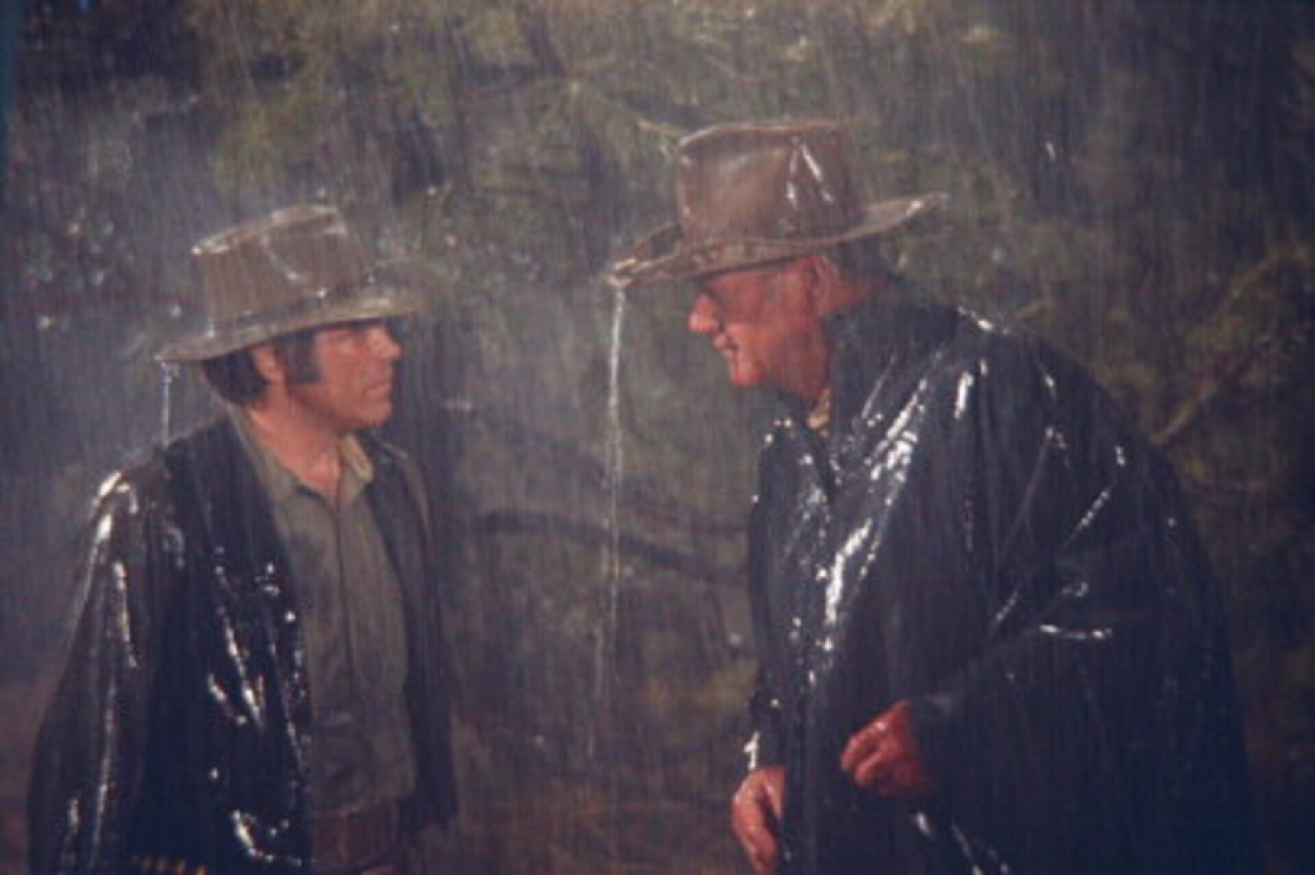 The Train Robbers Movies