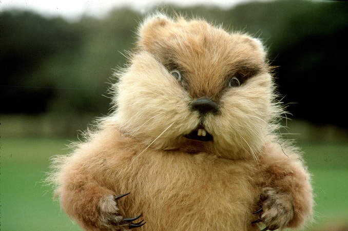 the devious gopher poses for the camera in caddyshack