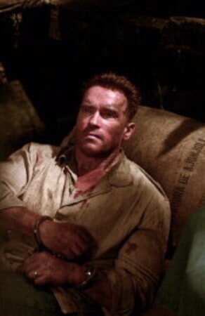 Collateral Damage - Image 1