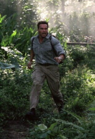 Collateral Damage - Image 9