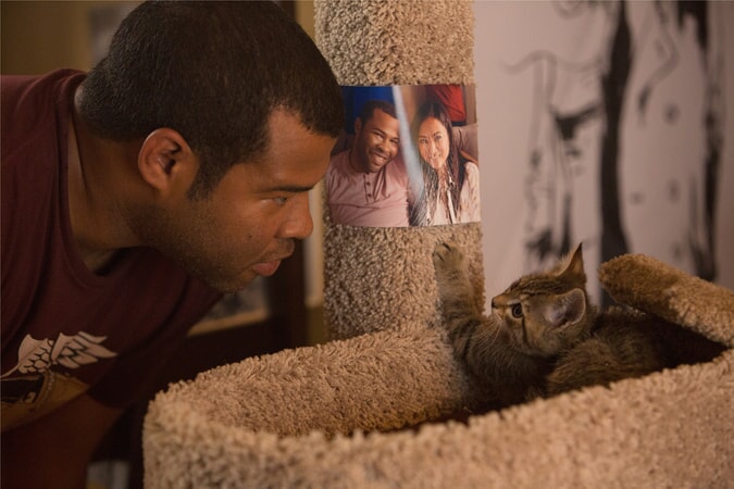ORDAN PEELE as Rell looking at Keanu the kitten in his cat tree