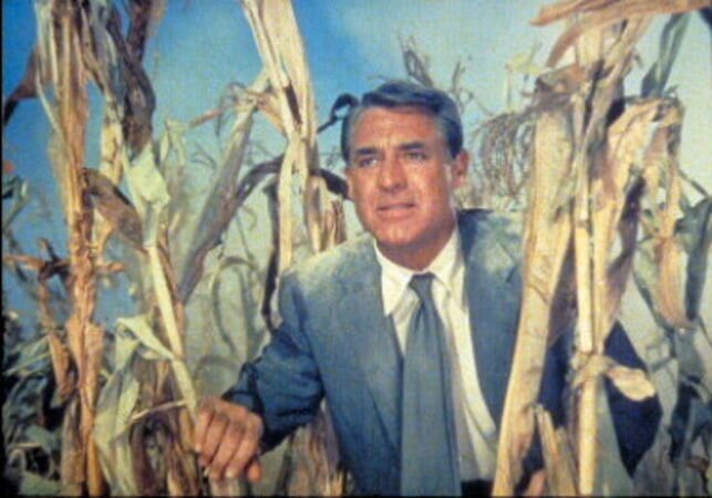 North by Northwest - Image 3