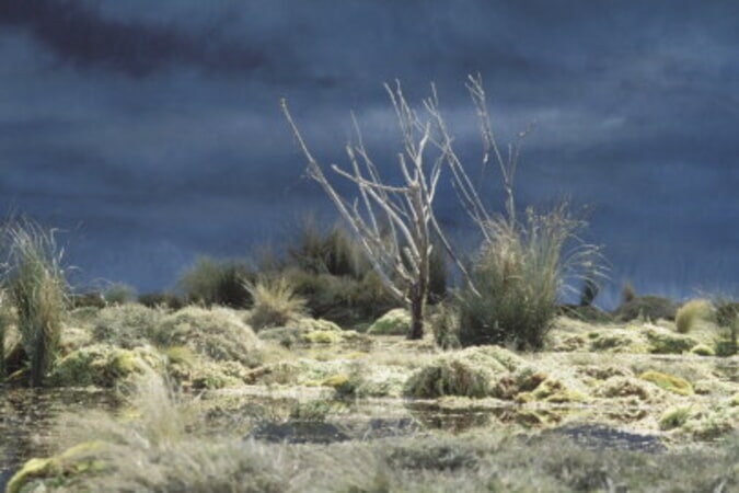 The Lord of the Rings: The Two Towers - Image 48