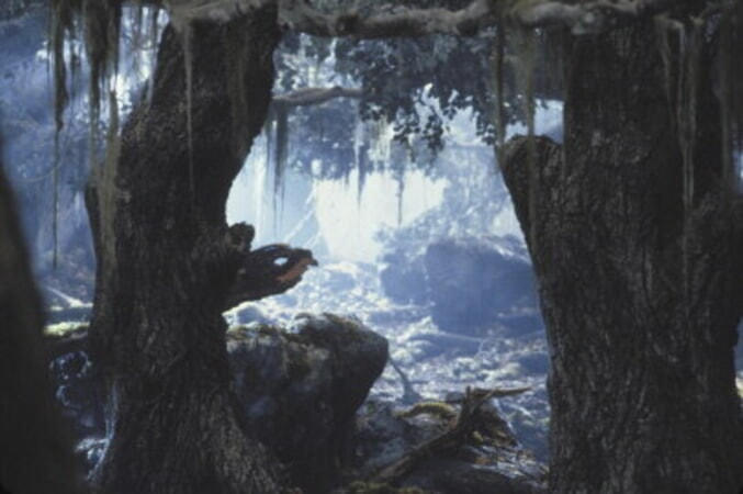 The Lord of the Rings: The Two Towers - Image 71