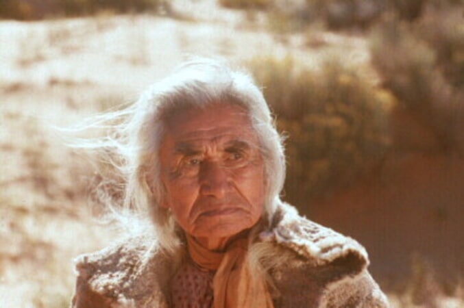 The Outlaw Josey Wales - Image 1