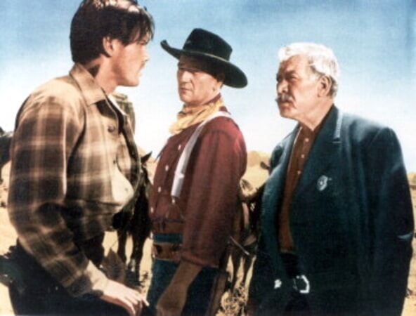The Searchers - Image 5