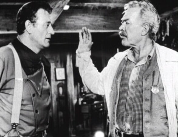 The Searchers - Image 6