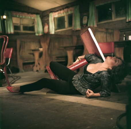 elizabeth taylor in who's afraid of virginia woolf