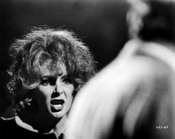 elizabeth taylor in who's afraid of virginia woolf
