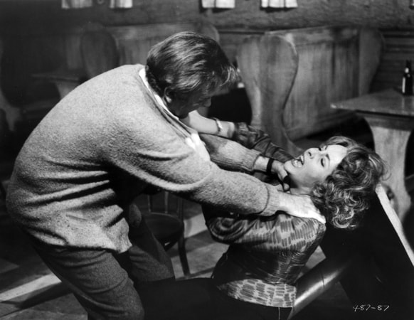 richard burton and elizabeth taylor in who's afraid of virginia woolf