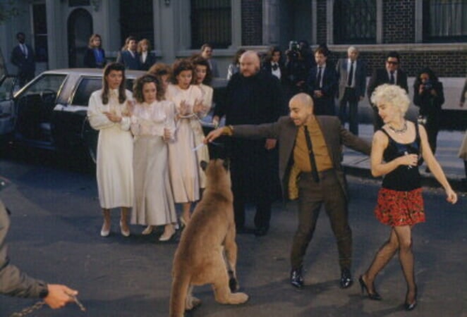 Who's That Girl - Image 4